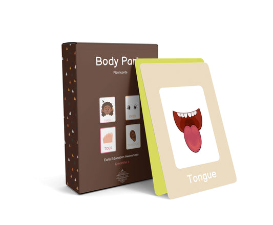 Body Parts Flashcards